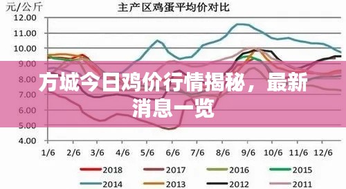 方城今日雞價(jià)行情揭秘，最新消息一覽