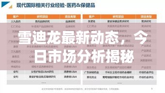 雪迪龍最新動態(tài)，今日市場分析揭秘
