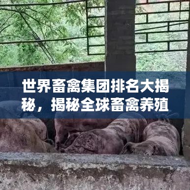 世界畜禽集團(tuán)排名大揭秘，揭秘全球畜禽養(yǎng)殖巨頭榜單