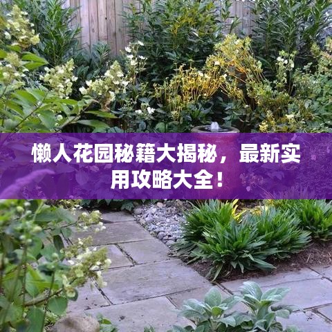 懶人花園秘籍大揭秘，最新實(shí)用攻略大全！