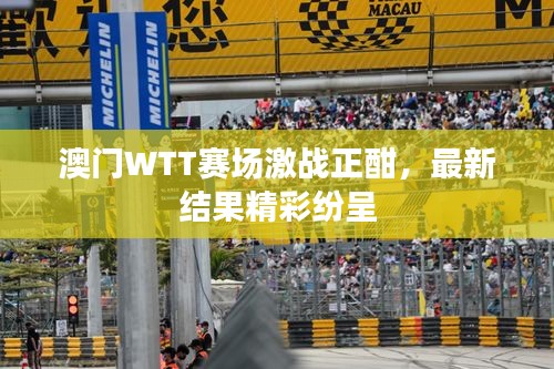 澳門WTT賽場(chǎng)激戰(zhàn)正酣，最新結(jié)果精彩紛呈