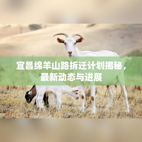 宜昌綿羊山路拆遷計(jì)劃揭秘，最新動(dòng)態(tài)與進(jìn)展