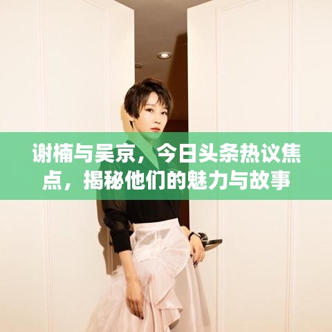 謝楠與吳京，今日頭條熱議焦點，揭秘他們的魅力與故事