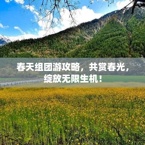 春天組團(tuán)游攻略，共賞春光，綻放無限生機！
