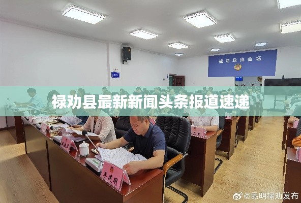 祿勸縣最新新聞頭條報道速遞