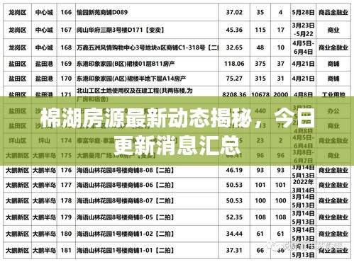 棉湖房源最新動(dòng)態(tài)揭秘，今日更新消息匯總