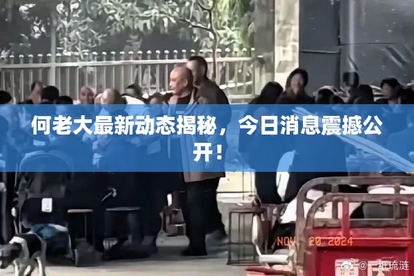 何老大最新動(dòng)態(tài)揭秘，今日消息震撼公開！