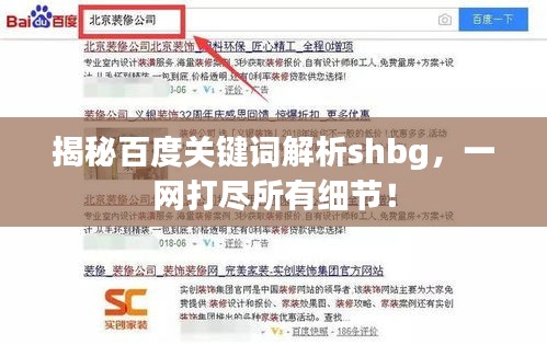 揭秘百度關(guān)鍵詞解析shbg，一網(wǎng)打盡所有細(xì)節(jié)！