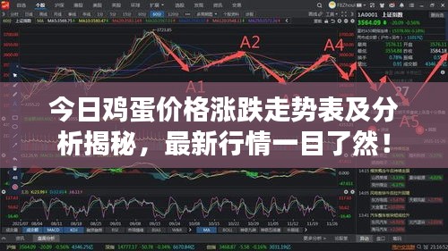 今日雞蛋價(jià)格漲跌走勢(shì)表及分析揭秘，最新行情一目了然！
