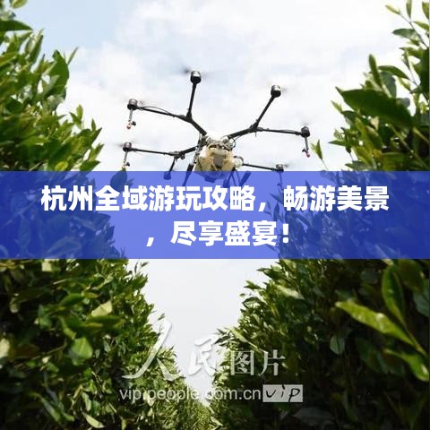 杭州全域游玩攻略，暢游美景，盡享盛宴！