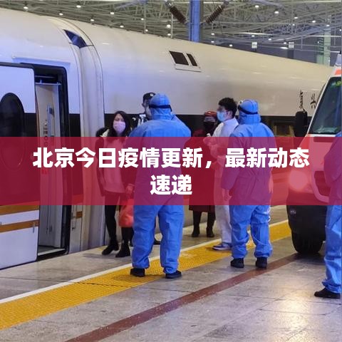 北京今日疫情更新，最新動態(tài)速遞