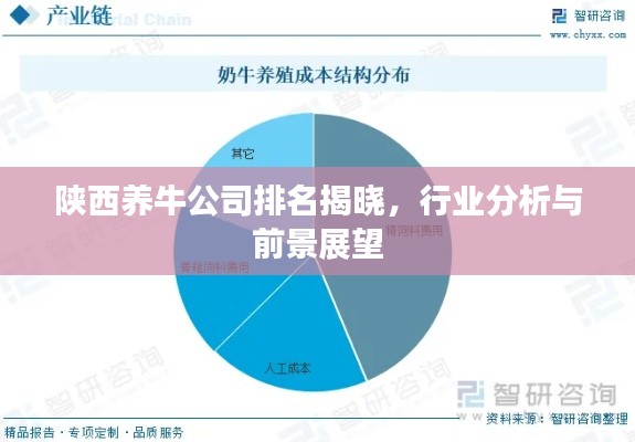 陜西養(yǎng)牛公司排名揭曉，行業(yè)分析與前景展望