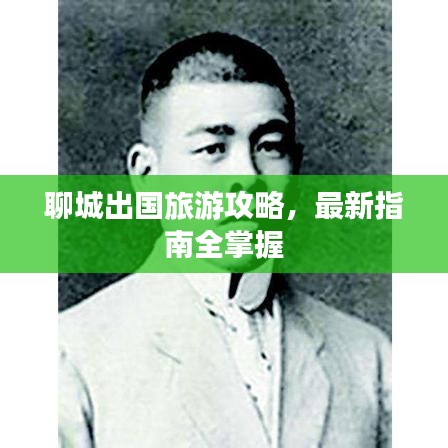 聊城出國旅游攻略，最新指南全掌握