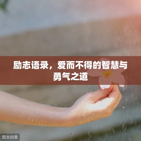 了解鹿瓷 第224頁(yè)