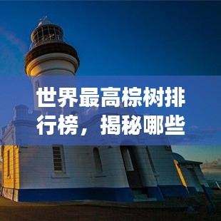 世界最高棕樹排行榜，揭秘哪些棕樹高聳入云！