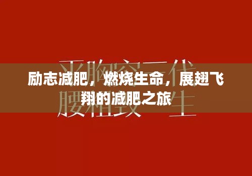 勵(lì)志減肥，燃燒生命，展翅飛翔的減肥之旅