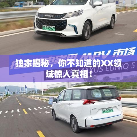 獨(dú)家揭秘，你不知道的XX領(lǐng)域驚人真相！