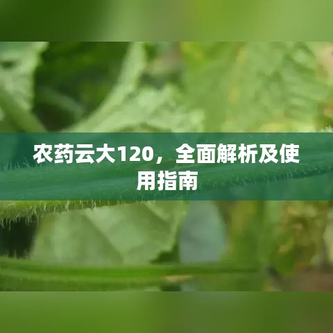 農(nóng)藥云大120，全面解析及使用指南