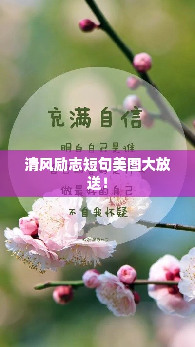 清風(fēng)勵志短句美圖大放送！