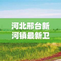 河北邢臺(tái)新河鎮(zhèn)最新衛(wèi)星地圖全景，古鎮(zhèn)新貌揭秘