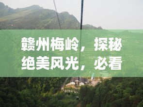 贛州梅嶺，探秘絕美風(fēng)光，必看的旅游攻略！