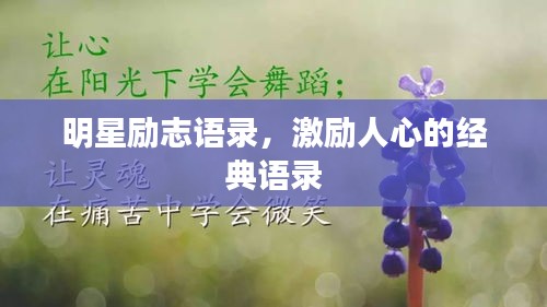明星勵(lì)志語(yǔ)錄，激勵(lì)人心的經(jīng)典語(yǔ)錄