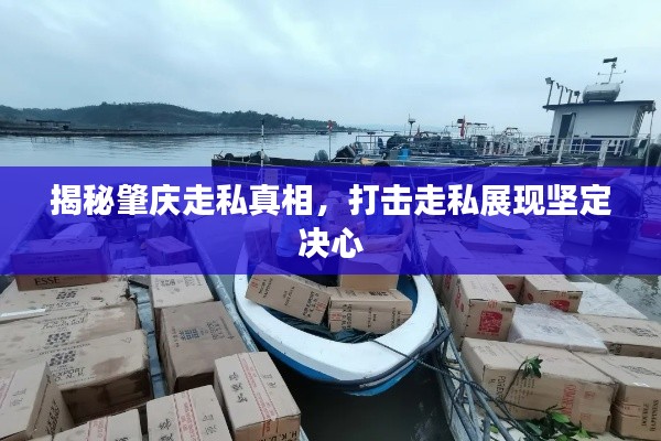 揭秘肇慶走私真相，打擊走私展現(xiàn)堅(jiān)定決心