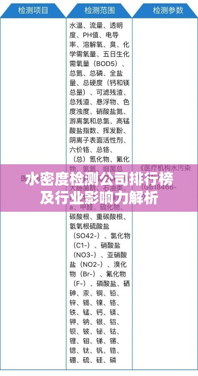 水密度檢測(cè)公司排行榜及行業(yè)影響力解析