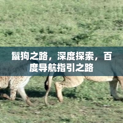 鬣狗之路，深度探索，百度導(dǎo)航指引之路