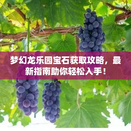 夢幻龍樂園寶石獲取攻略，最新指南助你輕松入手！