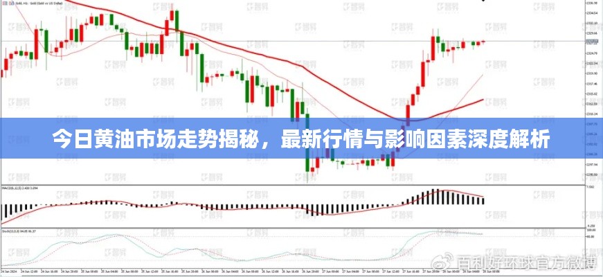 今日黃油市場走勢揭秘，最新行情與影響因素深度解析