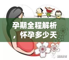 孕期全程解析，懷孕多少天會分娩？
