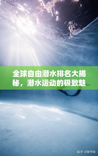 全球自由潛水排名大揭秘，潛水運動的極致魅力探索
