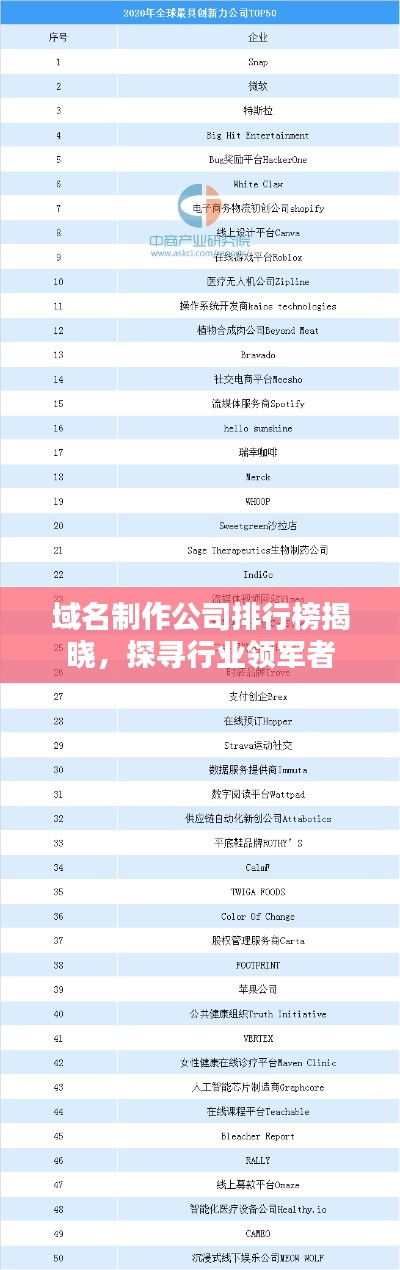 域名制作公司排行榜揭曉，探尋行業(yè)領(lǐng)軍者