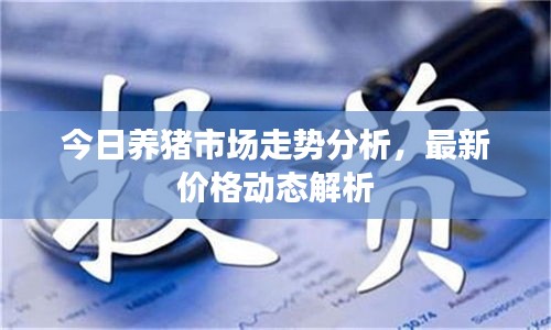 今日養(yǎng)豬市場(chǎng)走勢(shì)分析，最新價(jià)格動(dòng)態(tài)解析
