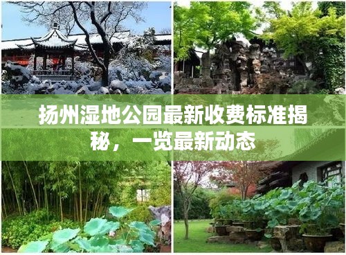 揚州濕地公園最新收費標準揭秘，一覽最新動態(tài)