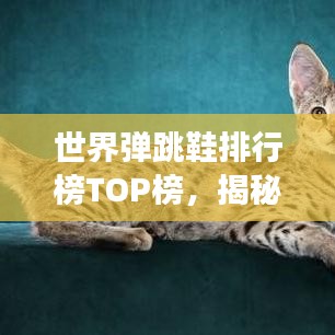 世界彈跳鞋排行榜TOP榜，揭秘彈跳力最強(qiáng)的鞋款！