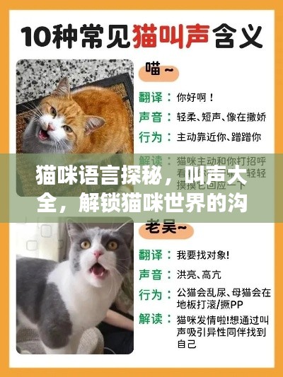 貓咪語言探秘，叫聲大全，解鎖貓咪世界的溝通密碼！