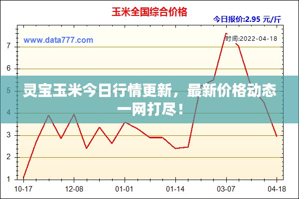 靈寶玉米今日行情更新，最新價格動態(tài)一網(wǎng)打盡！