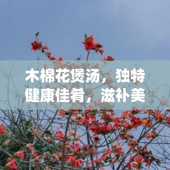 木棉花煲湯，獨(dú)特健康佳肴，滋補(bǔ)美味之選