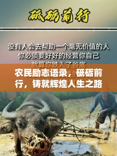 農(nóng)民勵志語錄，砥礪前行，鑄就輝煌人生之路