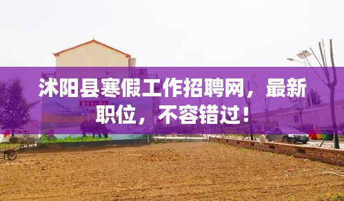 沭陽縣寒假工作招聘網(wǎng)，最新職位，不容錯過！