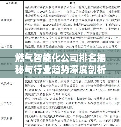 燃?xì)庵悄芑九琶颐嘏c行業(yè)趨勢(shì)深度剖析