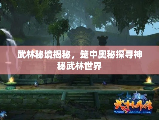 武林秘境揭秘，籠中奧秘探尋神秘武林世界