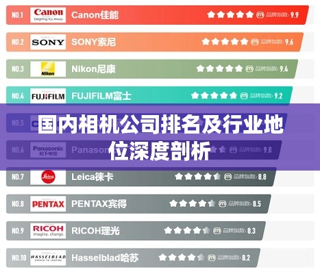 國內相機公司排名及行業(yè)地位深度剖析