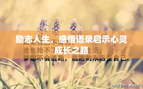 勵志人生，感悟語錄啟示心靈成長之路