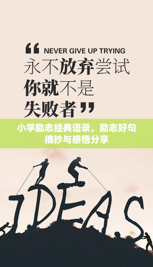 小學勵志經(jīng)典語錄，勵志好句摘抄與感悟分享