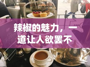 辣椒的魅力，一道讓人欲罷不能的美食探索之旅！