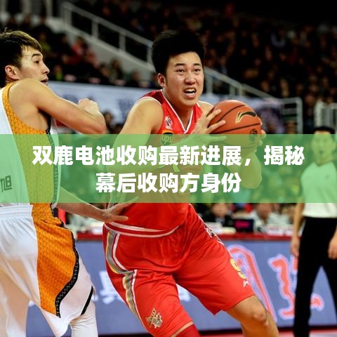 雙鹿電池收購最新進展，揭秘幕后收購方身份