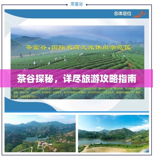 茶谷探秘，詳盡旅游攻略指南